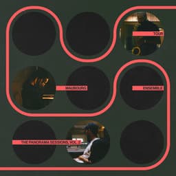 The Panorama Sessions, Vol. 2