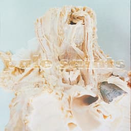 In Ribbons (30th Anniversary Reissue)