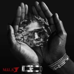 M.I.L.S 4 - Ninho