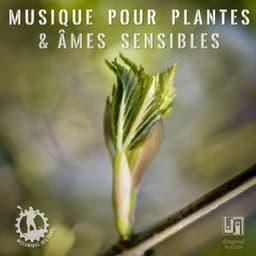 Musique pour plantes et âmes sensibles - Mécanique des sons