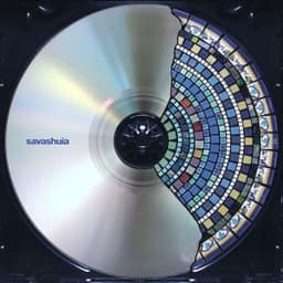 SAVASHUIA - TIF