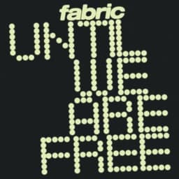 Until We Are Free - Fabric