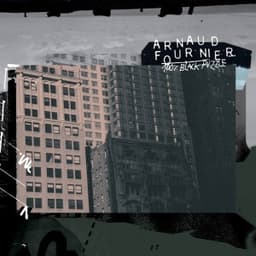100% Black Puzzle - Arnaud Fournier