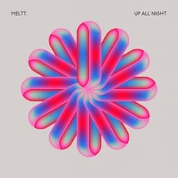 Up All Night - Meltt