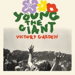 Different Kind Of Love - Young the Giant