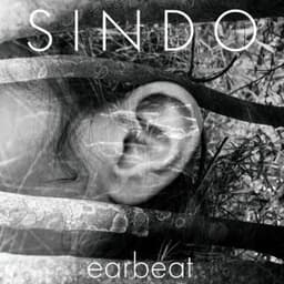 Intellexi - Sindo