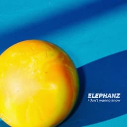 I Don't Wanna Know - Elephanz