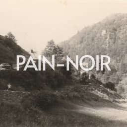 6000 tonnes de bois - Pain-Noir