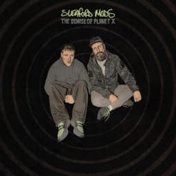 Double Diamond - Sleaford Mods